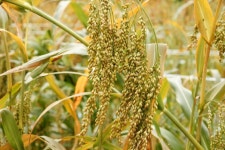 엘리어트 > 매전 저수지로 가을 낚시여행 : 낚시사랑