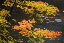엘리어트 > 매전 저수지로 가을 낚시여행 : 낚시사랑