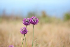 엘리어트 > 매전 저수지로 가을 낚시여행 : 낚시사랑
