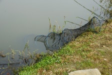 엘리어트 > 매전 저수지로 가을 낚시여행 : 낚시사랑