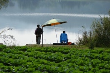 엘리어트 > 매전 저수지로 가을 낚시여행 : 낚시사랑