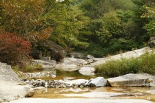 엘리어트 > 매전 저수지로 가을 낚시여행 : 낚시사랑