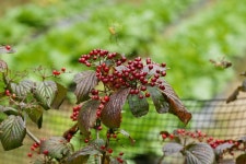 엘리어트 > 매전 저수지로 가을 낚시여행 : 낚시사랑