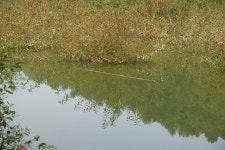 엘리어트 > 매전 저수지로 가을 낚시여행 : 낚시사랑