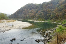 엘리어트 > 평창강으로 가을 낚시여행 : 낚시사랑