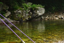 엘리어트 > 엘리어트의 여름 낚시여행 (강원도 홍천 을수골 -편) : 낚시사랑