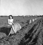 Florida Memory • 1946 potato queen Peggy Davis - Hastings, Florida 