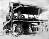 Florida Memory • Turpentine still - Tallahassee, Florida 