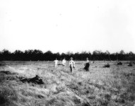 Florida Memory  - Land being cleared in South Farm - Okaloosa County, Florida Land being cleared in South Farm - Okaloosa County... 