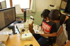 석사초등학교 융합과학동아리 ‘하이스피릿’ - FM교육방송 - FCN