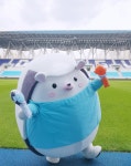 대구FC, 공식 마스코트 빅토 리카 응원봉 출시