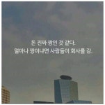포모스 돈이 짱이다 돈이 짱이다