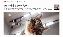 포모스 동물농장 유튜브 관리자 인성 논란 동물농장 유튜브 관리자 인성 논란