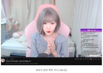 포모스 트위치로 완전 복귀하려는 BJ 고요 트위치로 완전 복귀하려는 BJ 고요