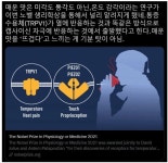 포모스 노벨상에서 밝혀진 매운맛의 원리 노벨상에서 밝혀진 매운맛의 원리