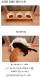 포모스 의외로 코딩이 잘 된 사례 의외로 코딩이 잘 된 사례
