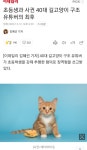 포모스 초등생과 사귄 40대 길고양이 구조 유튜버의 최후 초등생과 사귄 40대 길고양이 구조 유튜버의 최후