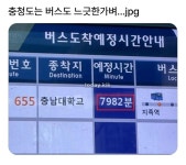 포모스 충청도는 버스도 느긋한가벼.. 충청도는 버스도 느긋한가벼..