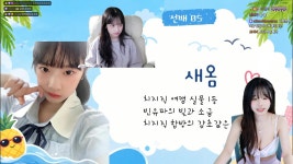 포모스 ㅇㅎ) 수련수련피셜 빈유파의 빛과소금  ㅇㅎ) 수련수련피셜 빈유파의 빛과소금 