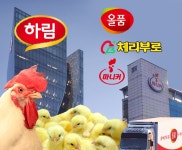 공정위, 하림 등 16개사 12년간 닭고기 가격 담합 - 식품외식경제 공정위, 하림 등 16개사 12년간 닭고기 가격 담합
