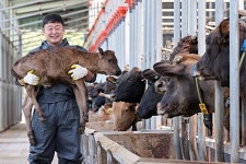 “제주흑우 산업단지 활성화…제주흑우 산업화 앞장” - 식품외식경제 “제주흑우 산업단지 활성화…제주흑우 산업화 앞장”