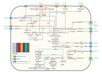세계김치연구소, 김치종균의 발효 우점 기전 첫 구명 - 식품외식경제 세계김치연구소, 김치종균의 발효 우점 기전 첫 구명