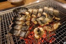 [한라민물장어] [충정로] 음...( 채용시까지 ) | 푸드앤잡 채용정보 - 푸드잡엔 푸드앤잡 foodnjob.com