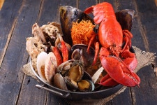 성실한 인재를 구합니다.( 채용시까지 ) | 푸드앤잡 채용정보 - 푸드잡엔 푸드앤잡 foodnjob.com