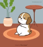 [반려동물 건강이야기] 나이드니 소화력 예전 같지 않은 반려동물...어떻게 관리할까? - 헬스경향 [반려동물 건강이야기] 나이드니 소화력 예전... 