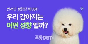 포동