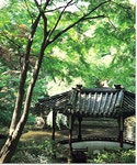 산림청 - 행정정보 > 산림지식 > 생활속의산림 산림청 - 행정정보 > 산림지식 >  생활속의산림