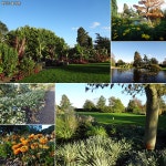 세계식물원탐방 < 국립수목원 2014년 1월 웹진