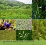 수목원 전시원 < 국립수목원 2014년 9월 웹진