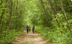 숲나들e - 백두대간트레일 |