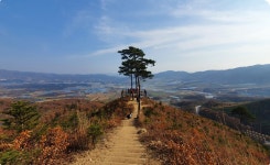 숲나들e - DMZ펀치볼둘레길 |