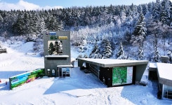 숲나들e - 대관령숲길 |