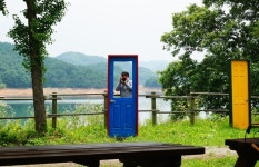 숲나들e - |