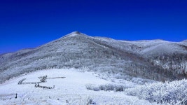 점봉산 곰배령 산림생태탐방