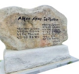 금감원이야기 : FSSZINE