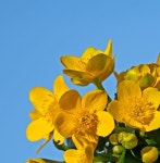 풀스코어 - 디지털 악보 컨텐츠 플랫폼