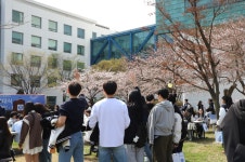 가천포토 메디컬캠퍼스 봄풍경