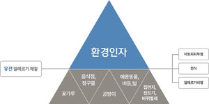 강동구 보건소