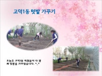 새소식 | 우리동소식 | 길동 | 명일2동_우리동네앨범 | 동홈페이지