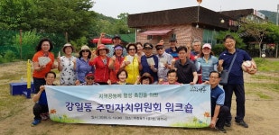 앨범 | 우리동소식 | 강일동 | 강일동_우리동네앨범 | 동홈페이지