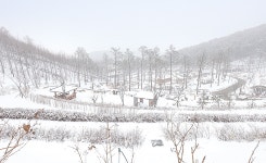화개정원