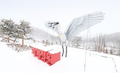 커뮤니티 화개정원