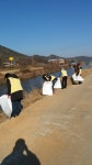 우리마을소식-양사면 자율방범대 덕하천 환경정비 실시 내용 | 강화군 읍·면>동네 알림방