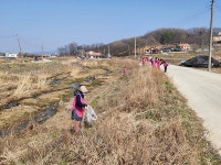 우리마을소식-선원면, 선행천 환경정화로 다가오는 봄 준비 한창 내용 | 강화군 읍·면>동네 알림방