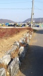 우리마을소식-선원면, 신정리 철쭉밭 제초에 나서 내용 | 강화군 읍·면>동네 알림방