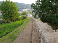 자유게시판-인간의 본성 외 2  내용 | 강화군청>군민참여